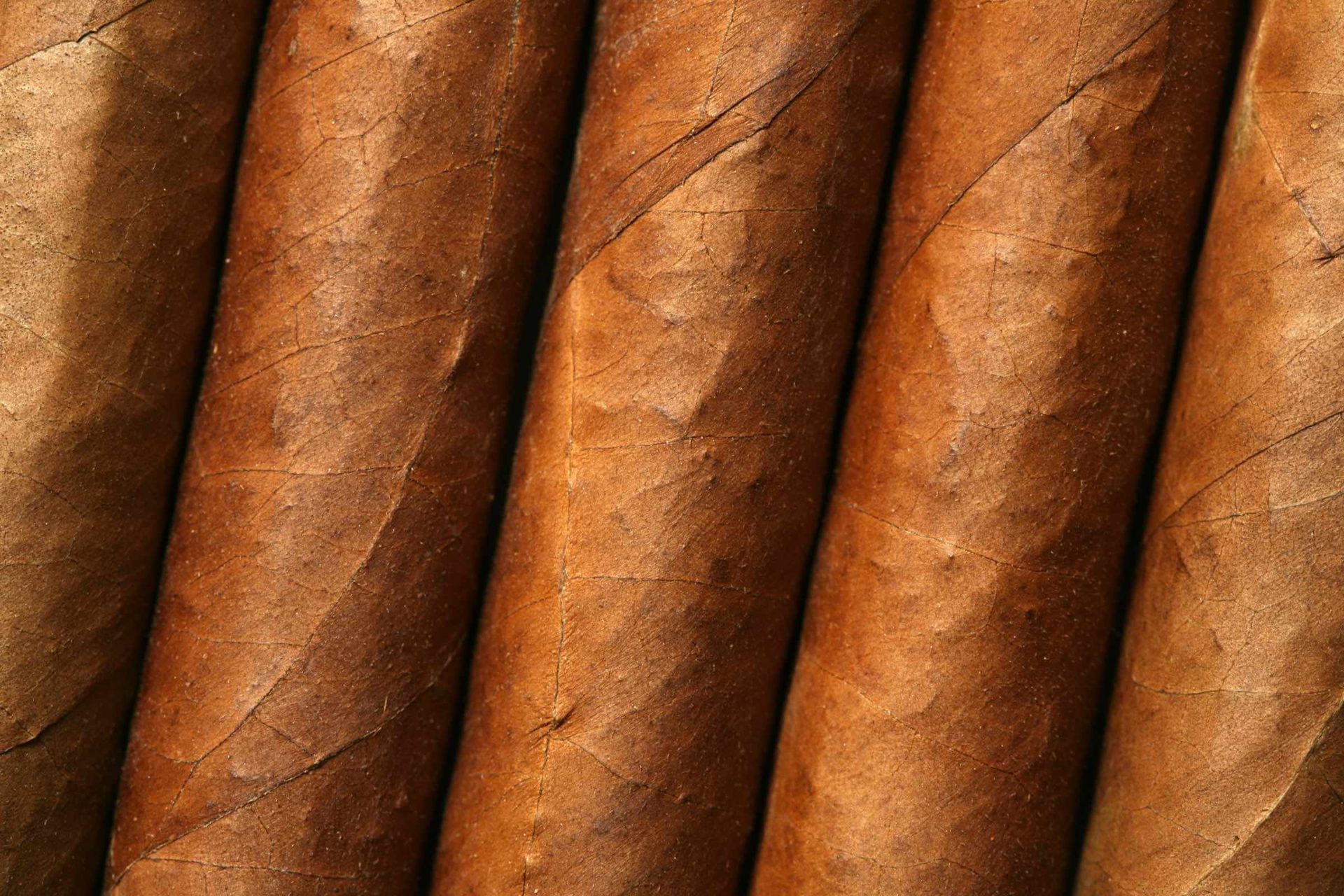 The Cuban Cigar