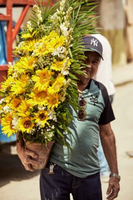 Spring In Cuba