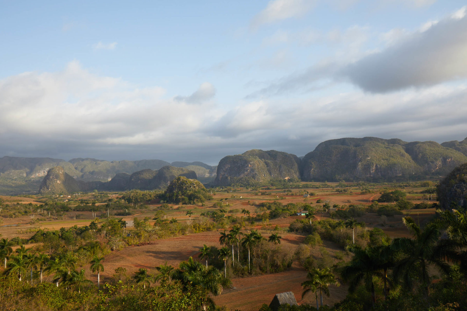 Cuba And The Art Of Tobacco